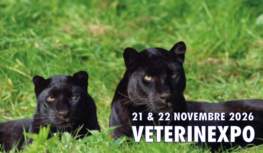 VETERINEXPO